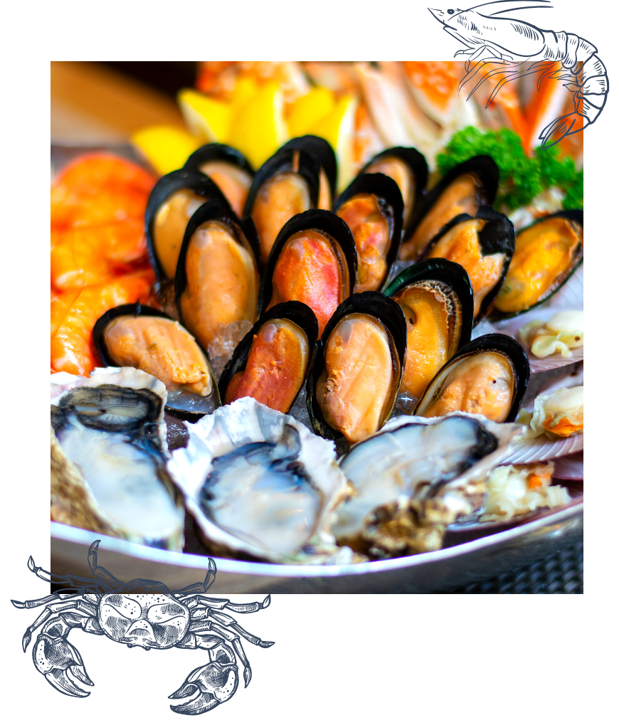 Halal Seafood Supplier Malaysia, Fresh Seafood Supplier Selangor