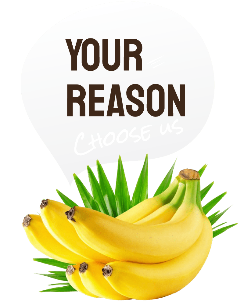 Tropical Fruit Wholesaler Selangor Fresh Fruit Supplier KL Online