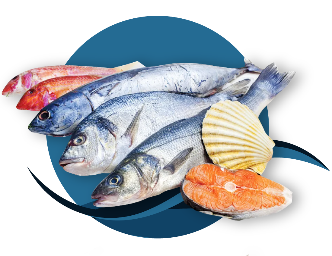 Frozen Seafood Supplier Selangor, Fresh Seafood Delivery Petaling Jaya