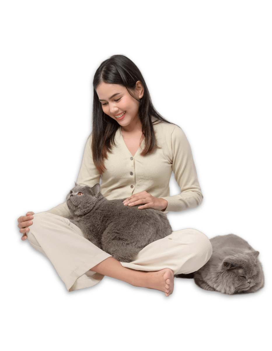 Online Pet Shop & Cat Food Supplier in Malaysia Meowqu Comel Enterprise