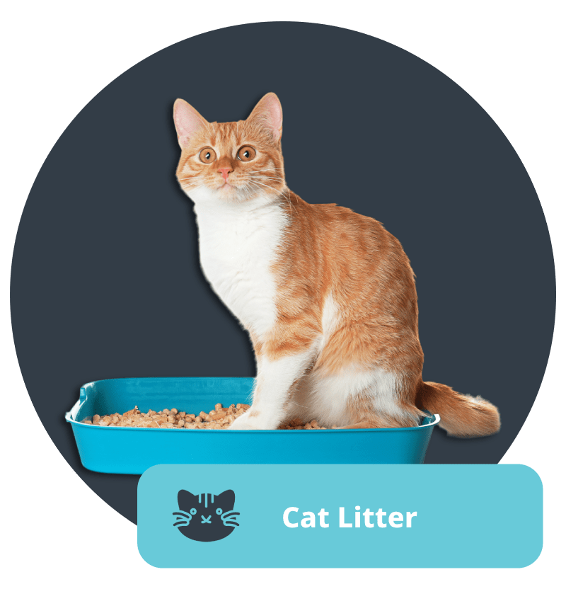 Online Pet Shop & Cat Food Supplier in Malaysia Meowqu Comel Enterprise