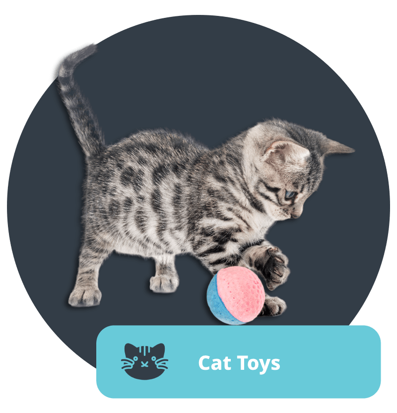Online Pet Shop & Cat Food Supplier in Malaysia Meowqu Comel Enterprise