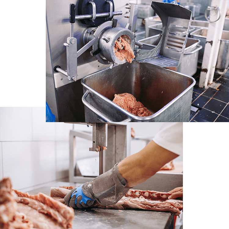 Food Processing Machine Supplier Selangor, Food Processing Equipment