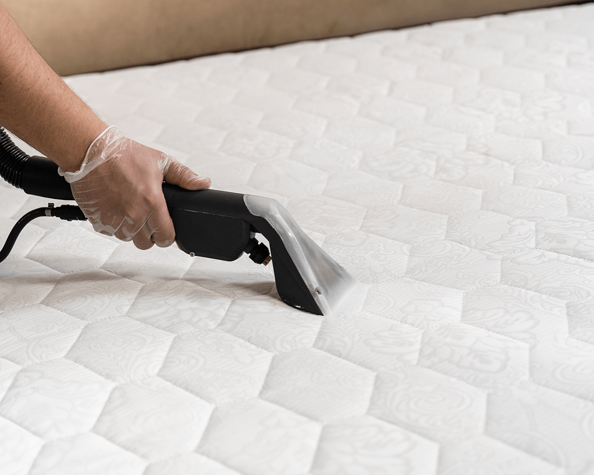 Car Cushion Cleaning Selangor, Sofa Cushion Cleaning KL, Dining Chair