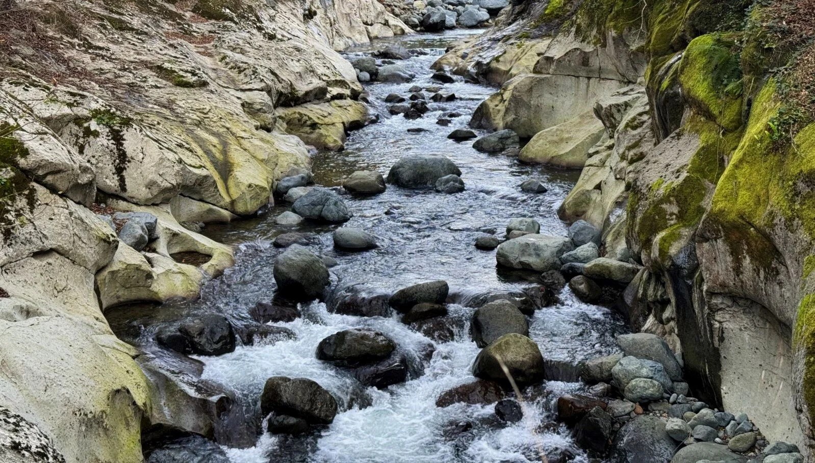 Discovering Çamaş Canyon: A Black Sea Gem