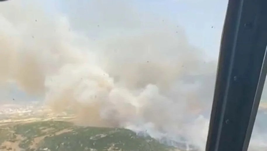İzmir'de makilik yangını: Havadan ve karadan müdahale