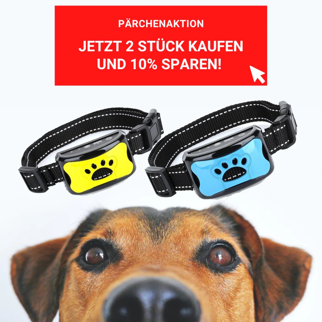 DogProofed das praktische AntiBell Halsband