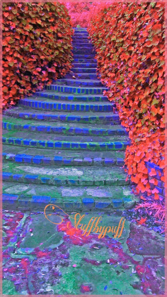 Chandor Gardens, Weatherford Tx Image by Puff