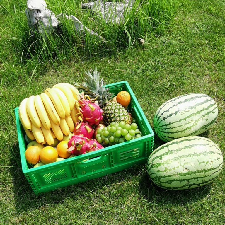 Collapsible fruit crates High Quality & Factory Price‎