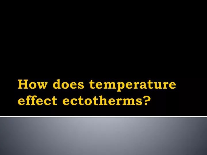PPT How does temperature effect ectotherms ? PowerPoint Presentation