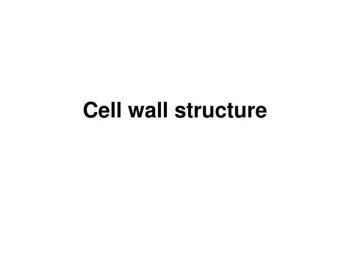 PPT Cell wall structure PowerPoint Presentation, free download ID