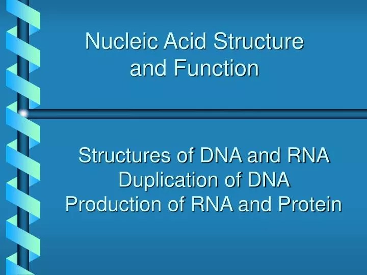 PPT Nucleic Acid Structure and Function PowerPoint Presentation, free