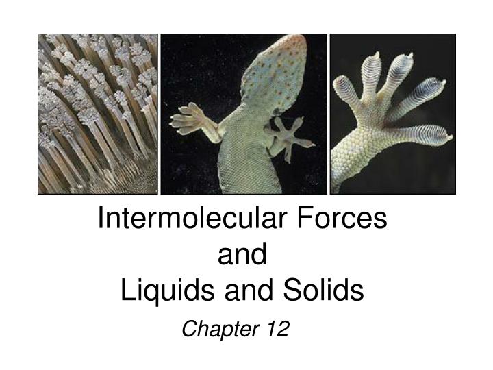 PPT - Intermolecular Forces and Liquids and Solids PowerPoint