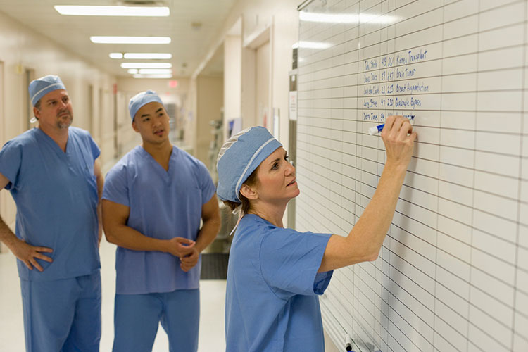 A Primer on Project Management for Health Care Executive