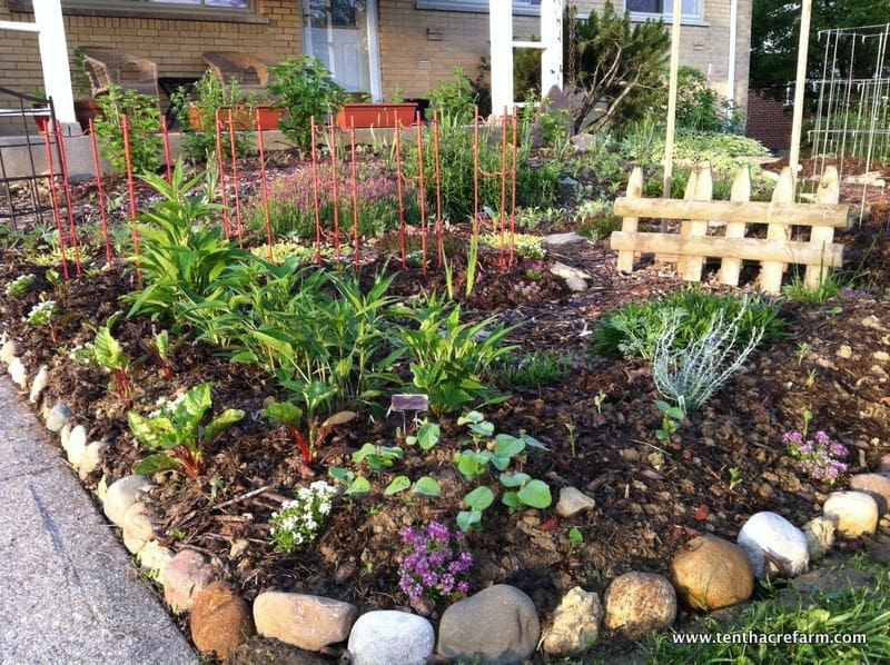 Front Yard Rainwater Catchment Tenth Acre Farm