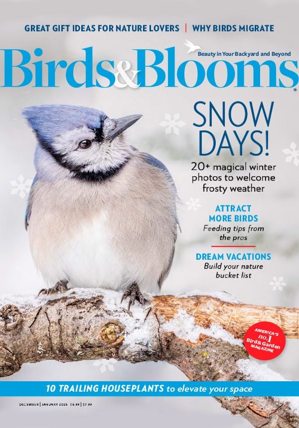 Birds & Blooms Digital Editions
