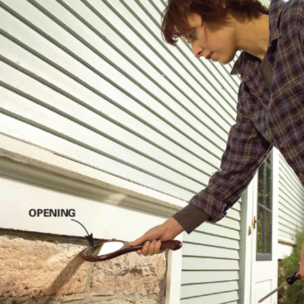 11 Strategies for DoItYourself Pest Control The Family Handyman