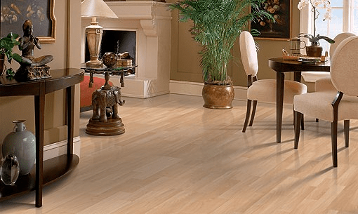 Shaw's Carpet Inc. in Fredericksburg, VA Local Coupons May 2021
