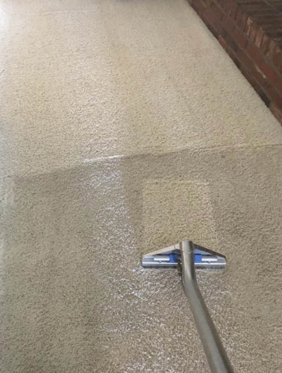 Zerorez Coupons Furniture & Carpet Cleaning Ogden Utah