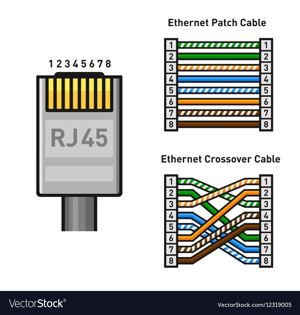 Ethernet Connector Pinout Color Code Straight Vector Image