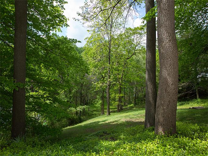 On the Market SunFriendly Main Line Home