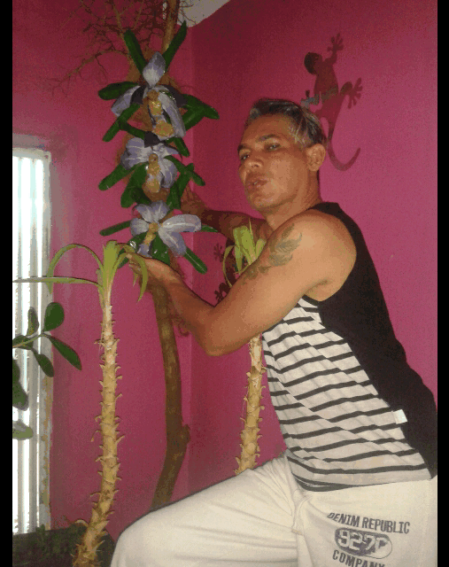 Las Mas Bonitas Imagenes Con Frases De Feliz Domingo Para