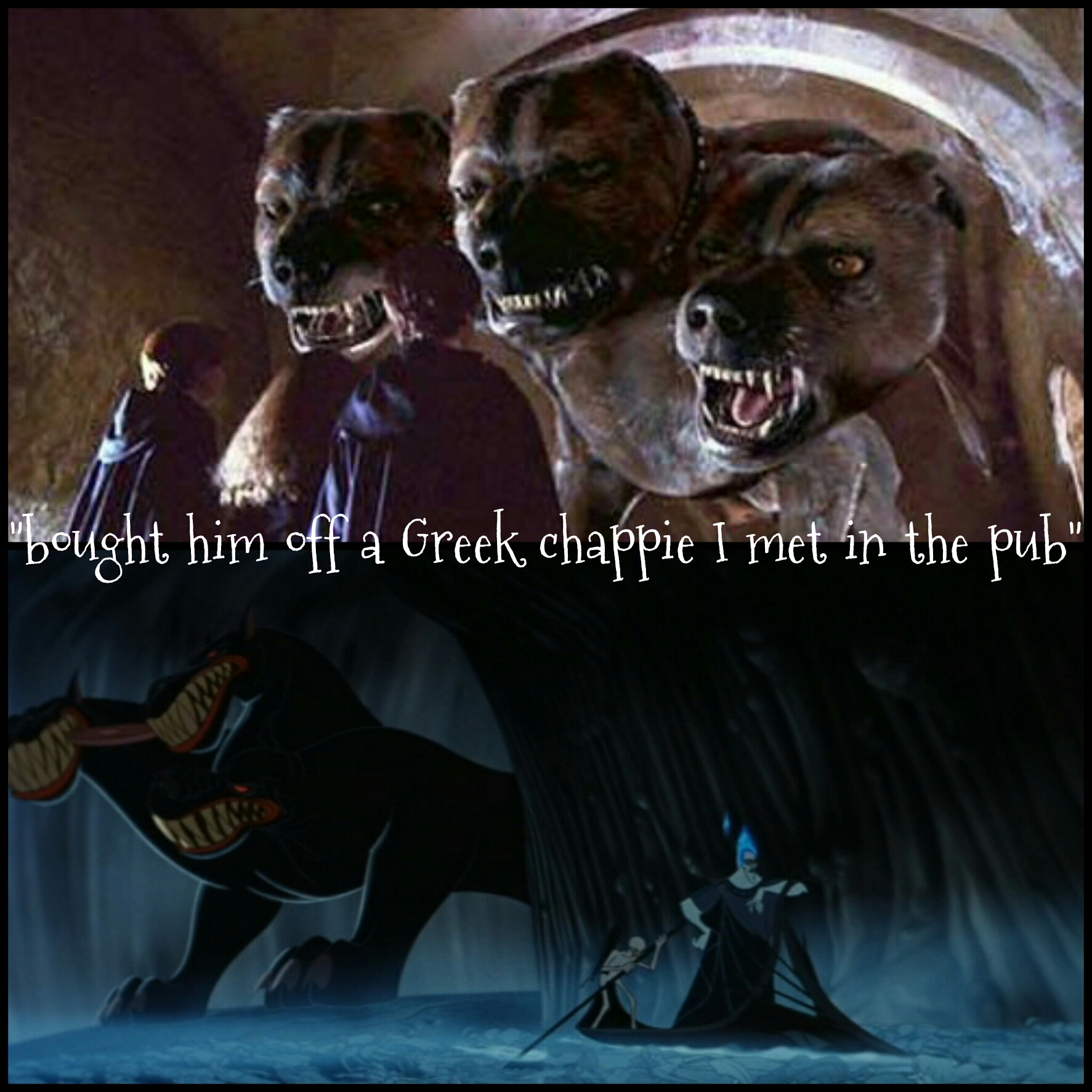 Fluffy the three headed dog. harrypotter harry potter h...