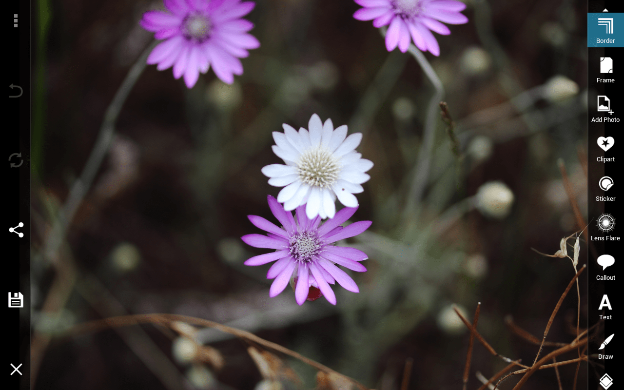 Photography Tutorial How to Frame Photos with PicsArt Using Border