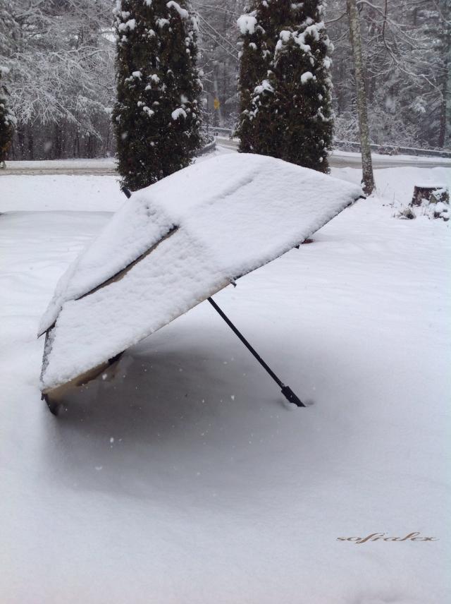 black & white colorful love nature image by oguzhantokuc