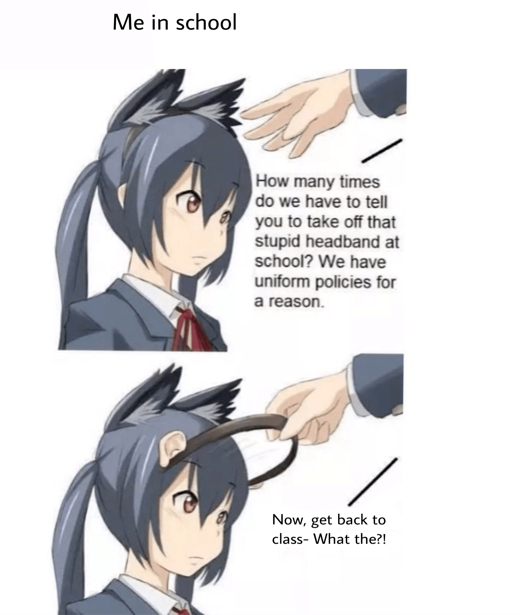 school meinclass meme dankmemes textpost cat girl anime...