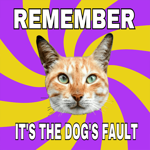 Funny Meme Tutorials PicsArt
