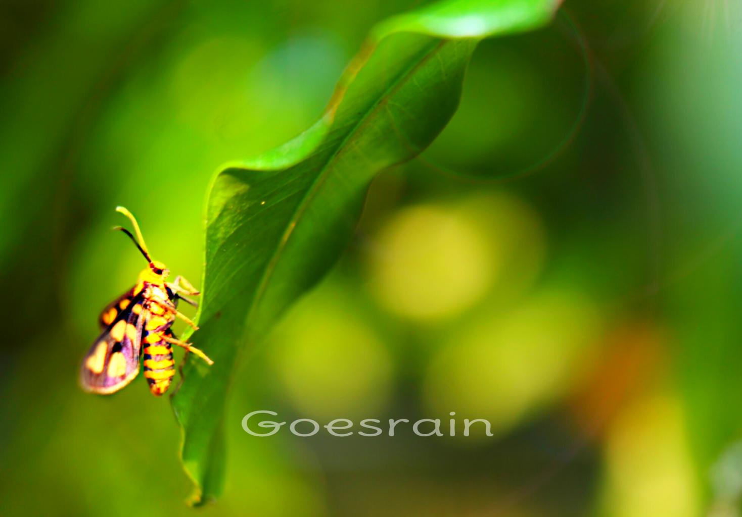 Focal Points in Your Photography Composition Picsart Blog