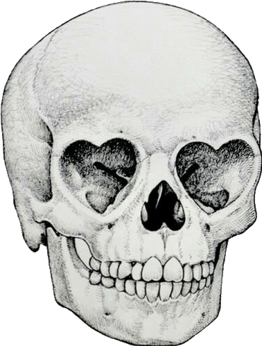 Skull Tumblr Holga Sticker By Sandra