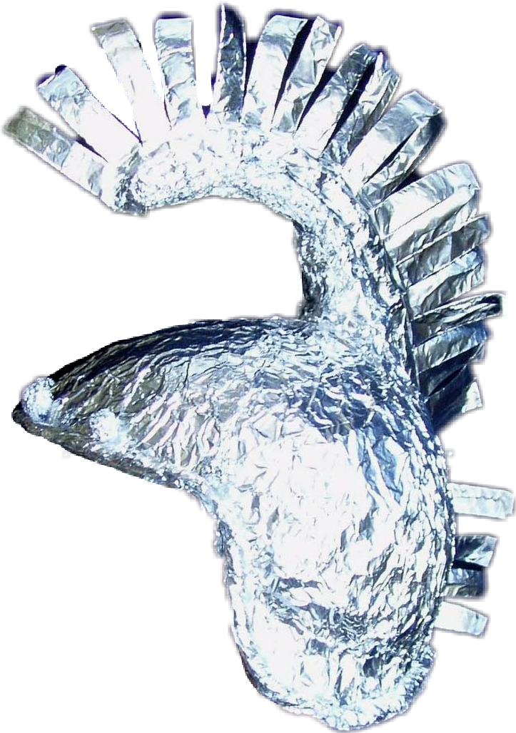 tinfoilhat tinfoil hat freetoedit sticker by sherbourne