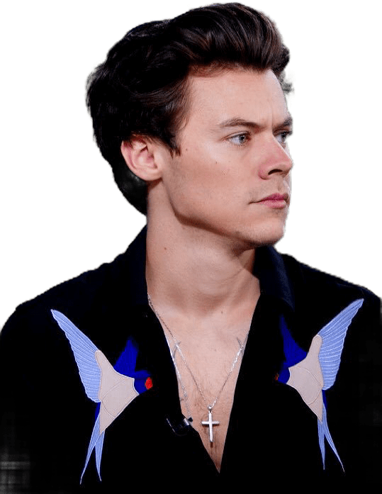 harrystyles harry styles freetoedit sticker by horizain