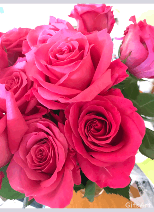 Love Flowers Gif Photo Best Flower Site