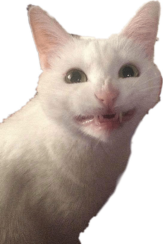 meme freetoedit meme sticker by maslaneczka