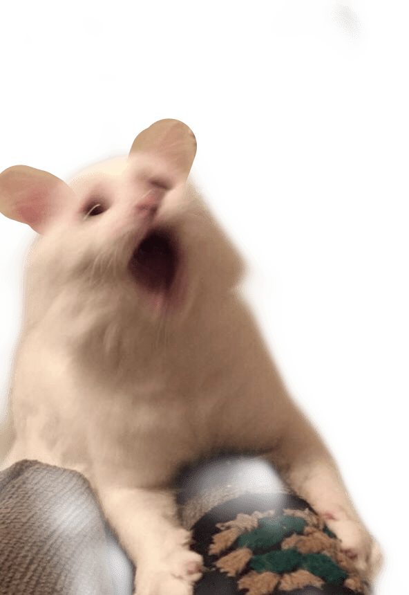 cat gasp pets reaction freetoedit sticker by madipoli24