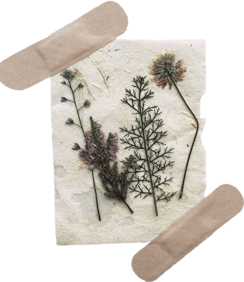 Aesthetic Design Picsart Stickers Aesthetic aesthetic