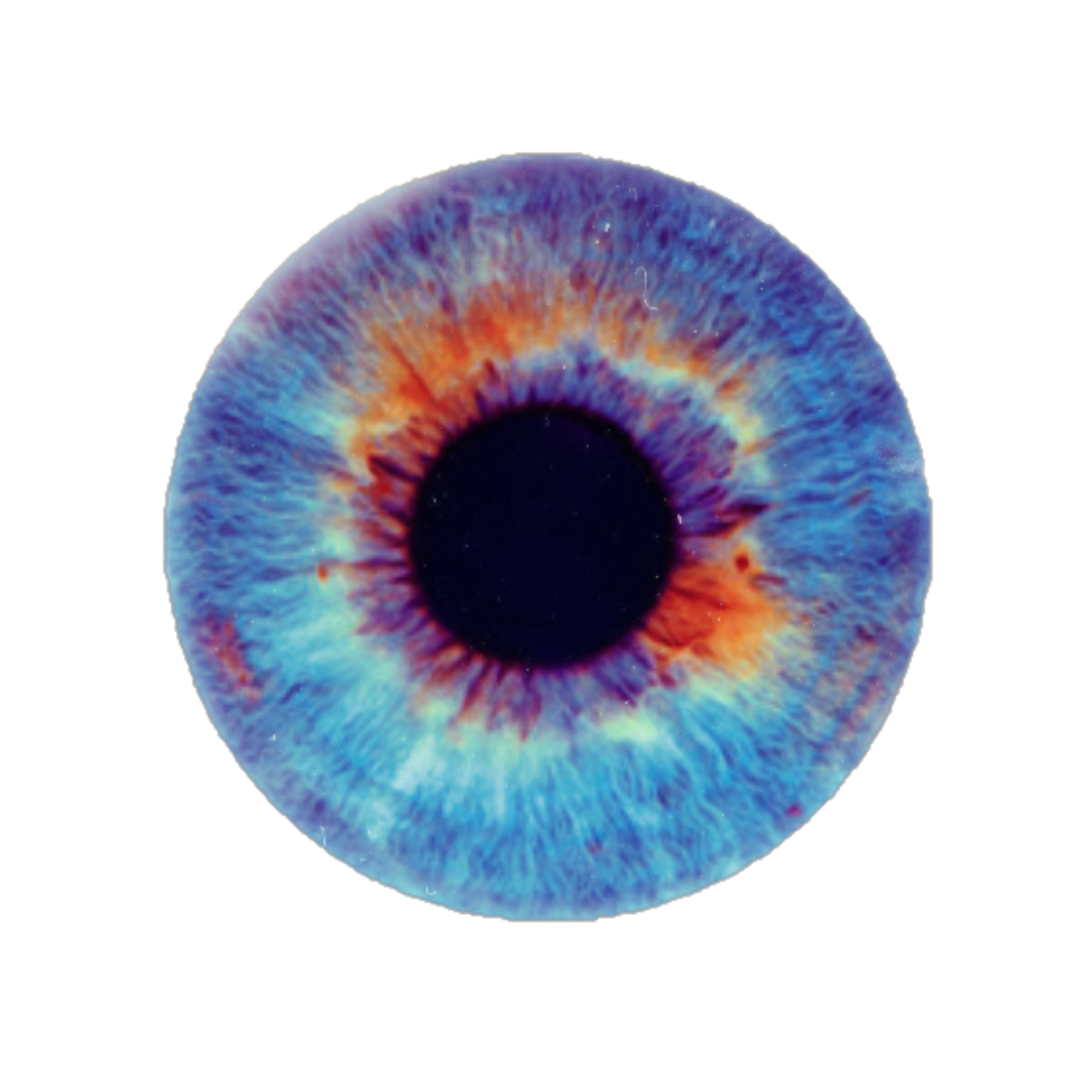 eye eyeball eyes pupil blueeyes pupilsticker stickers...