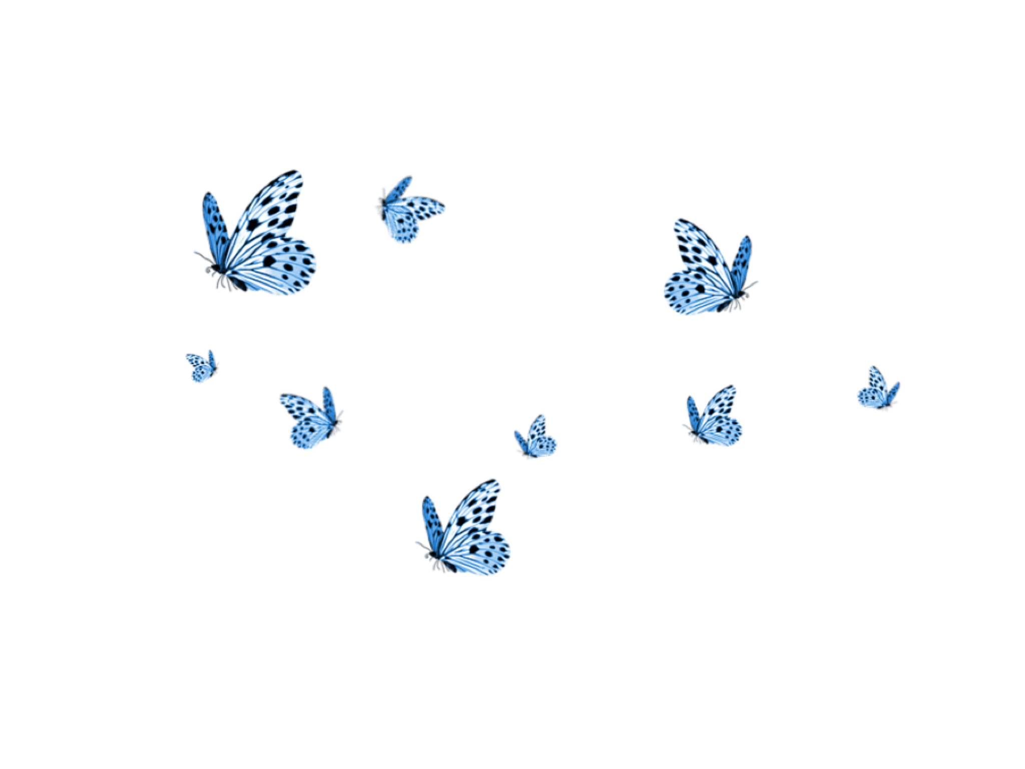 Tumblr Blue Butterfly Wallpaper Aesthetic