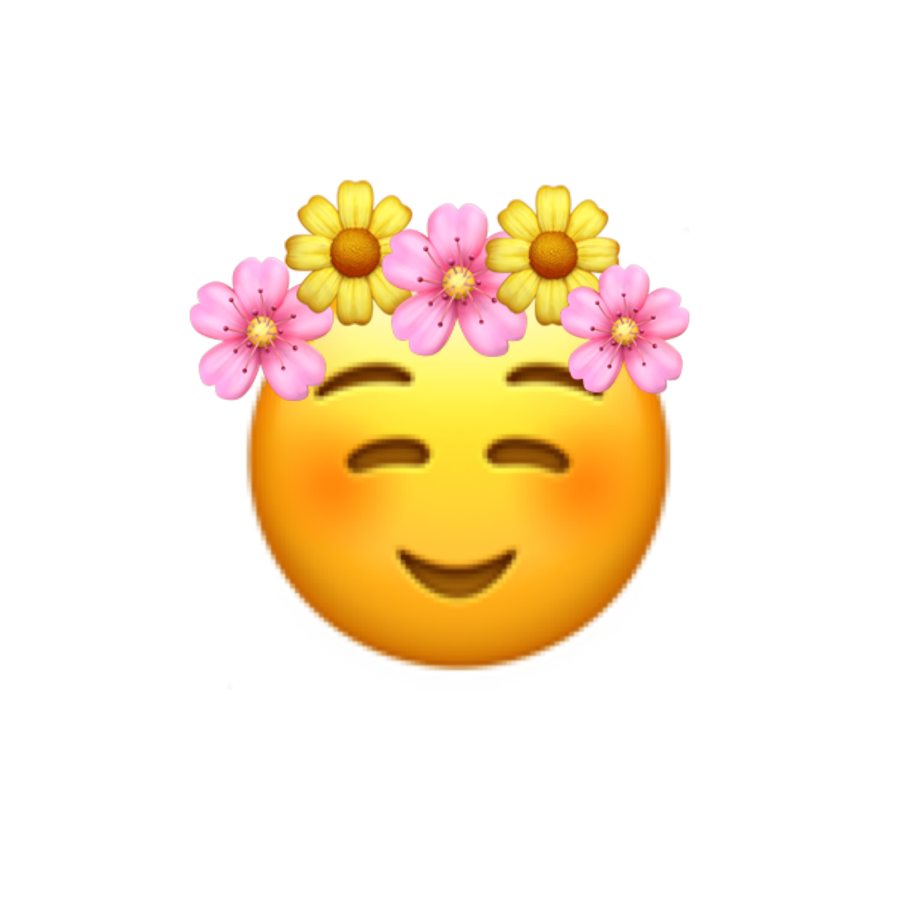 Emoji Flower Crown Best Flower Site