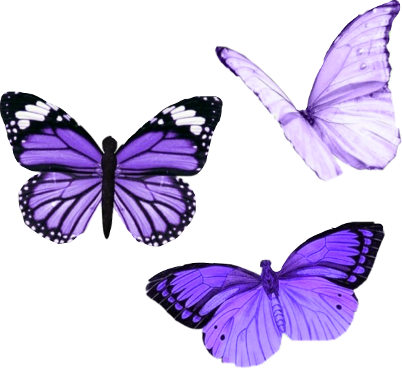 List 95+ Pictures Aesthetic Pictures Of Butterflies Superb