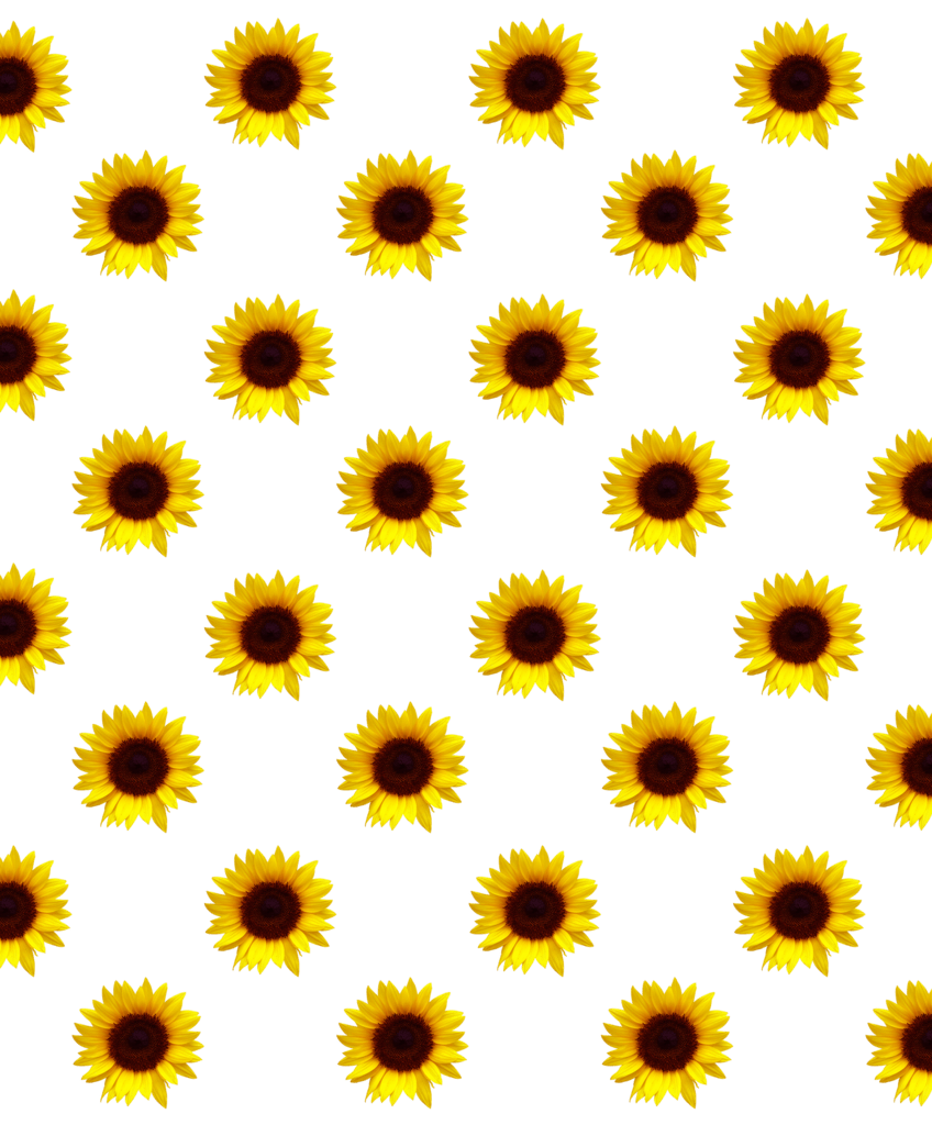 sunflower flower cool background pattern emojibackgroun...