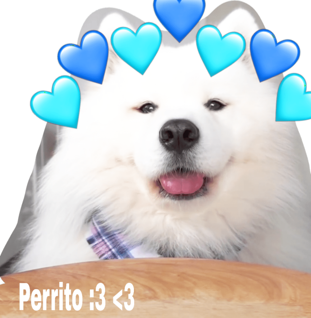 love_dogs freetoedit love love_dogs sticker by agarciah9