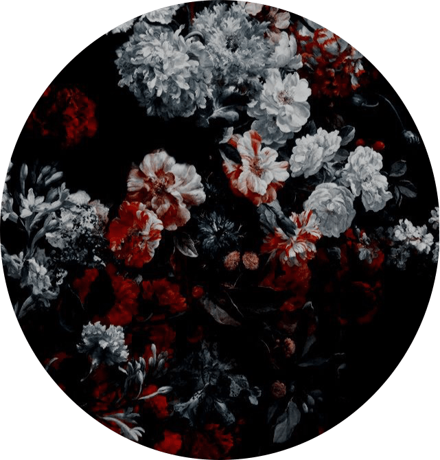 flowers black red white background rose aesthetic stick...