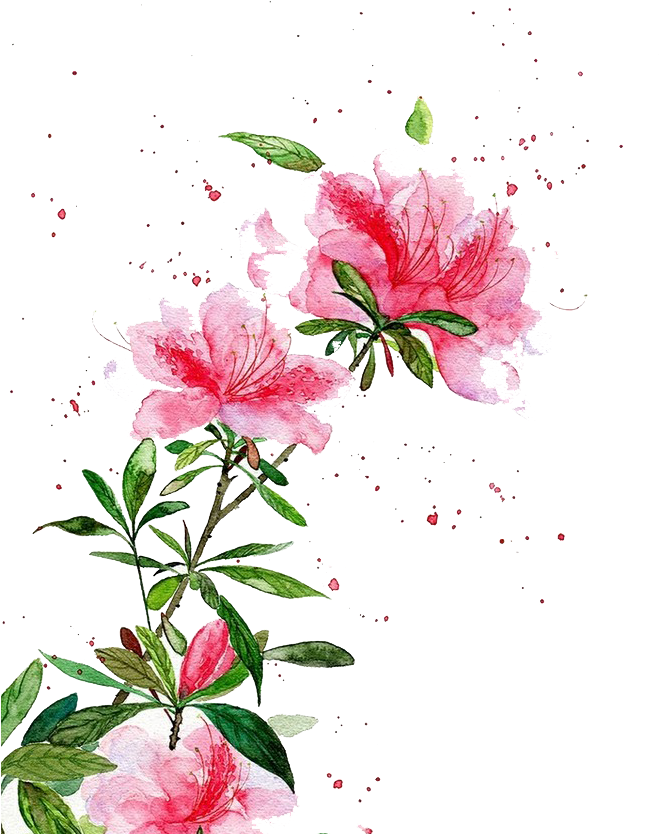 chinese flower chineseflower sticker by truongthao98