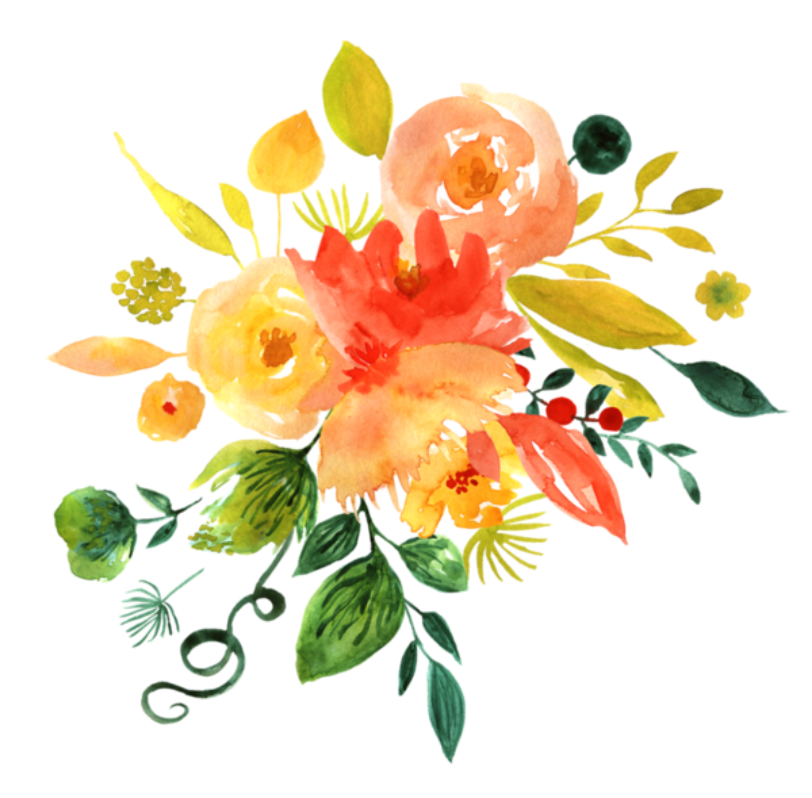 31 Watercolor Flowers Clipart Orange Red Yellow Florals Hand Etsy