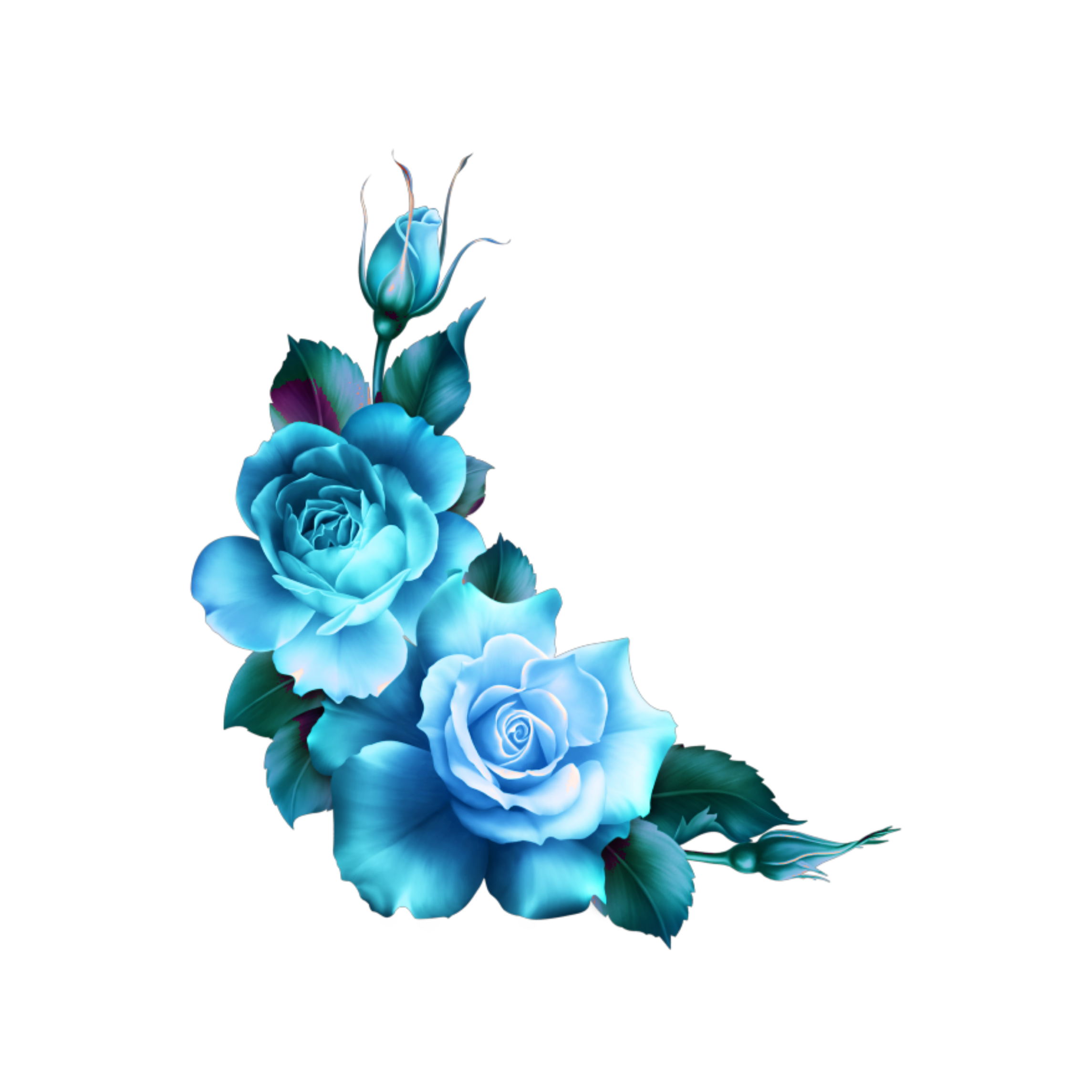 mq blue roses flowers flower rose border borders...