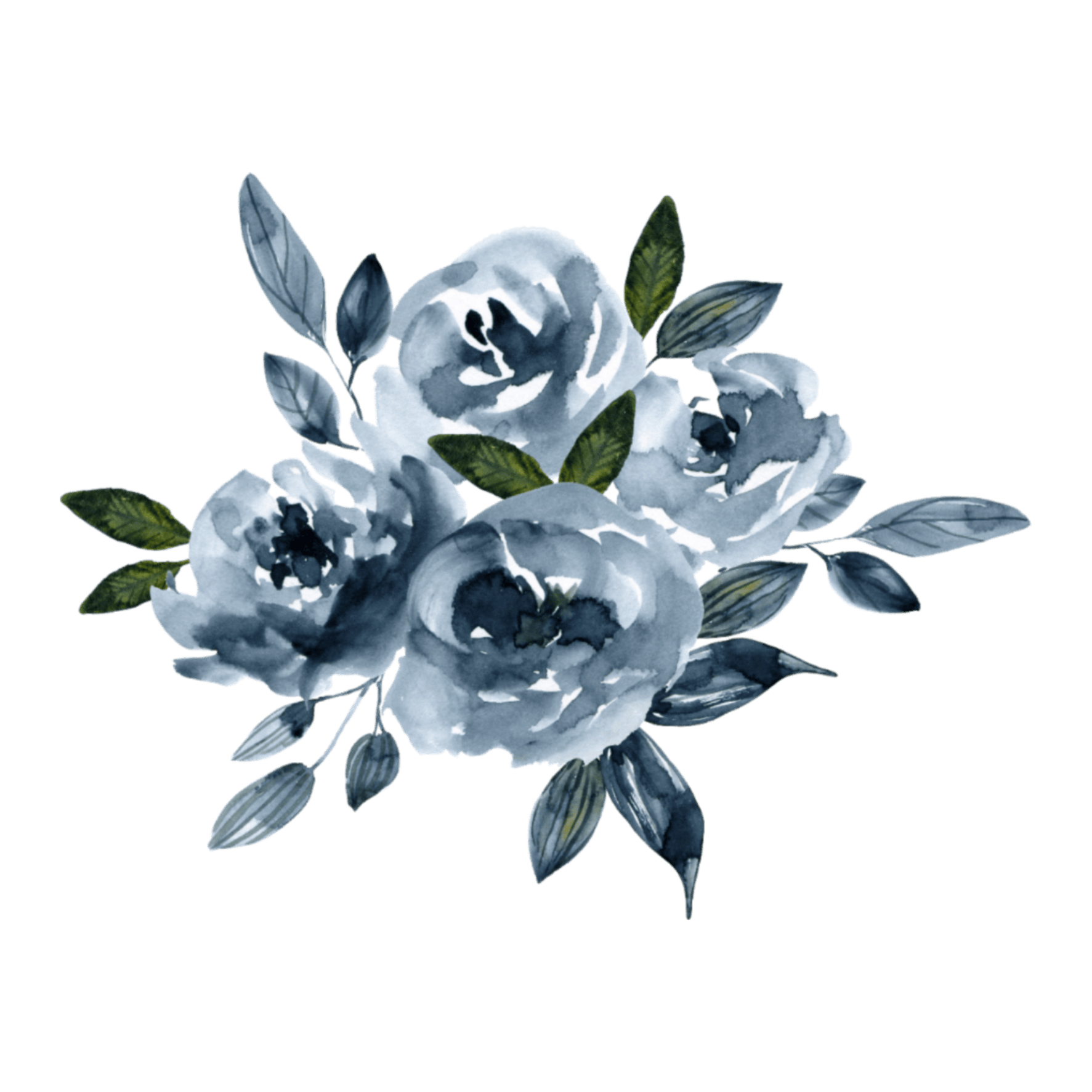 flower flowers watercolor plant plants overlay doddle...